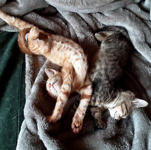 Meet your Posher, Patricia